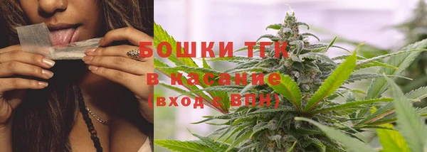 прущие крисы Новозыбков