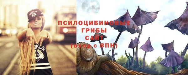 прущие крисы Новокубанск