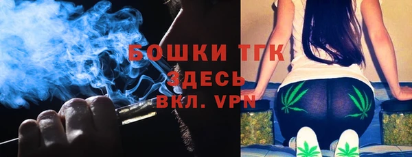 прущие крисы Новозыбков