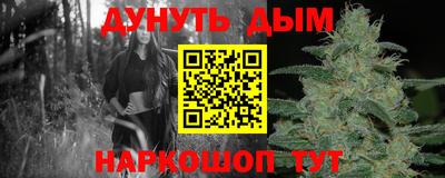 сатива Абинск