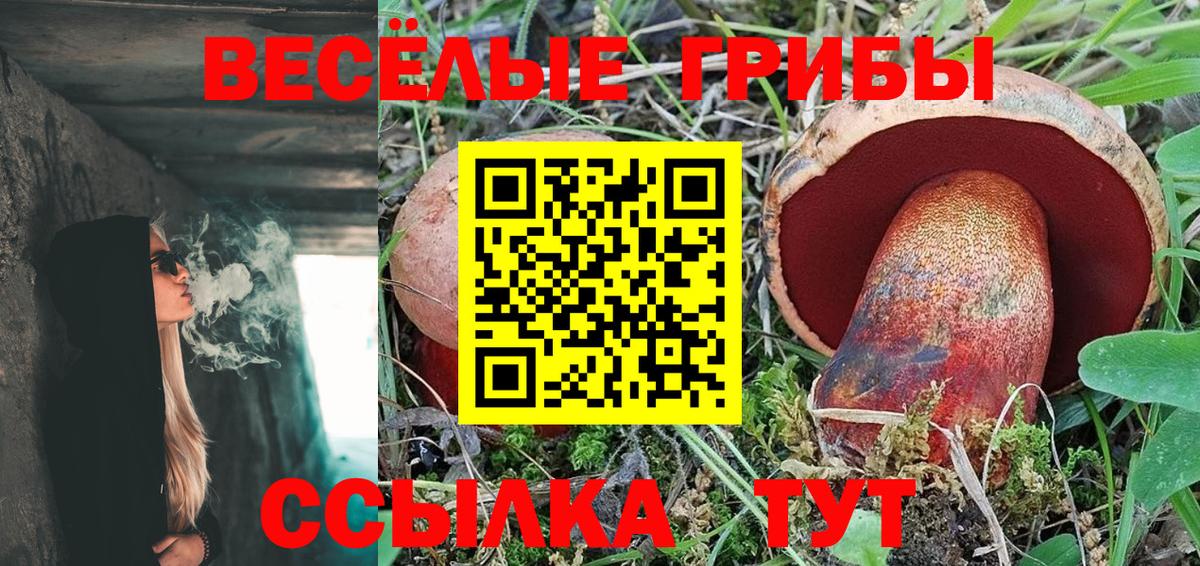 Алексеевка  купить закладку  Галлюциногенные грибы Magic Shrooms  Вход с VPN  Галлюциногенные грибы MAGIC MUSHROOMS 