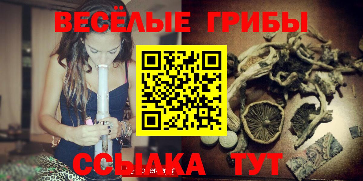 Псилоцибиновые грибы ЛСД Алексеевка