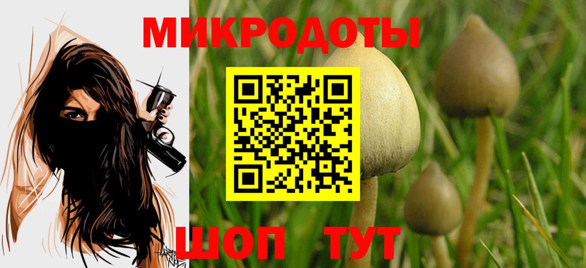 Псилоцибиновые грибы Magic Shrooms Алексеевка